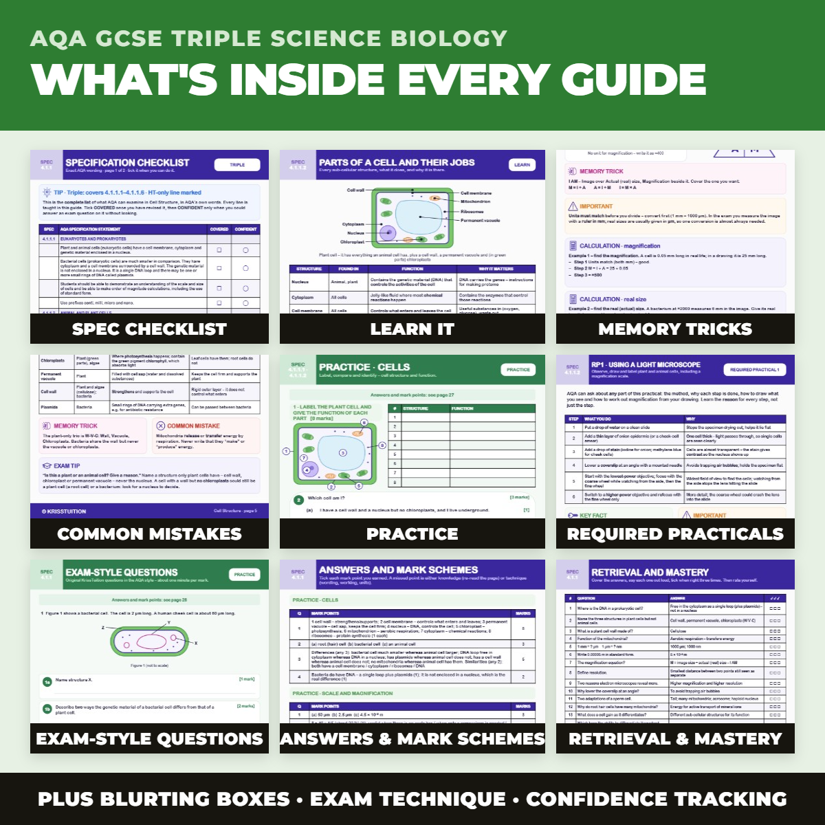 The Biology Revision System | Paper 1 | Foundation & Higher