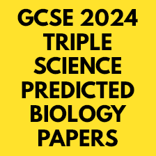 GCSE Biology 2024 Papers